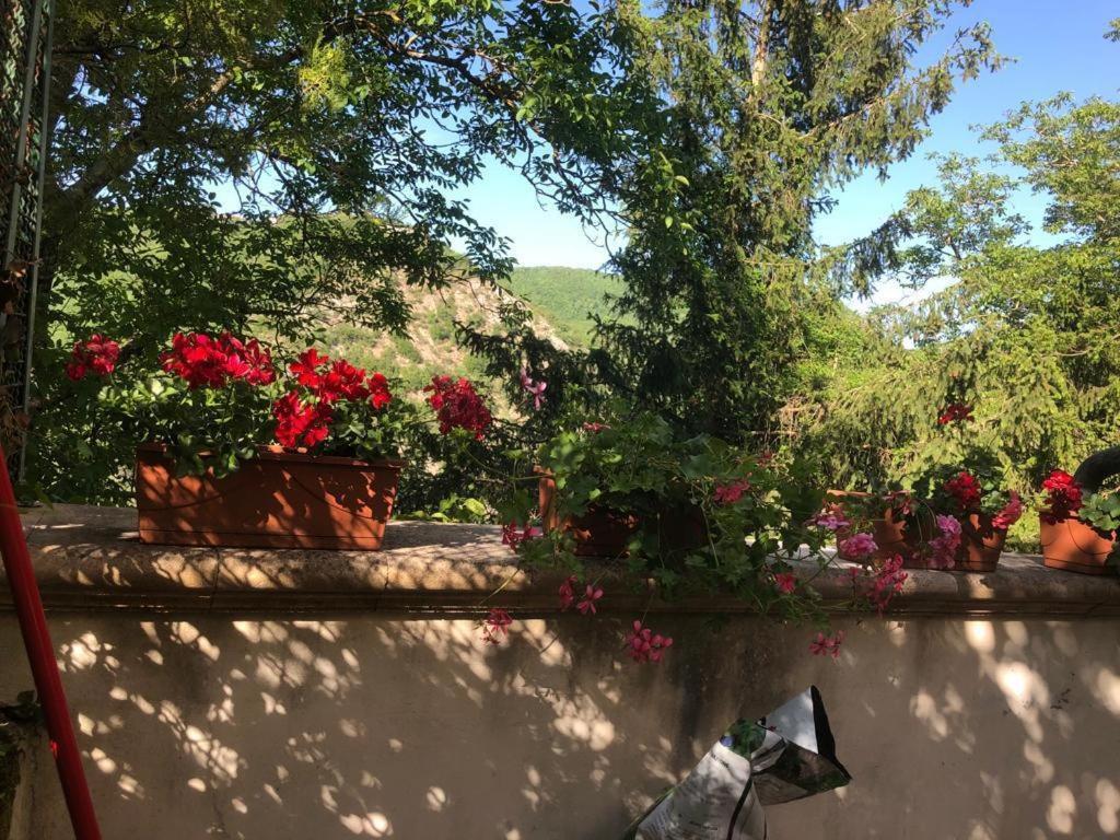 Le Fate Umbria Bed & Breakfast Sellano Exterior photo